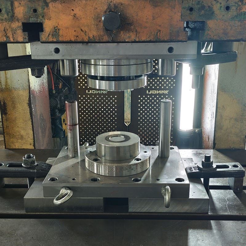 High-Precision Blanking Die Components & Custom Metal Stamping Dies Maker factory High-Precision Blanking Die Components & Custom Metal Stamping Dies Maker factory